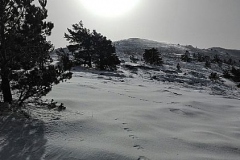 IMG-20160221-WA0016