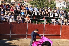 TOROSYVAQUILLAS