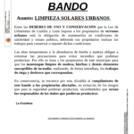bando solares 2026